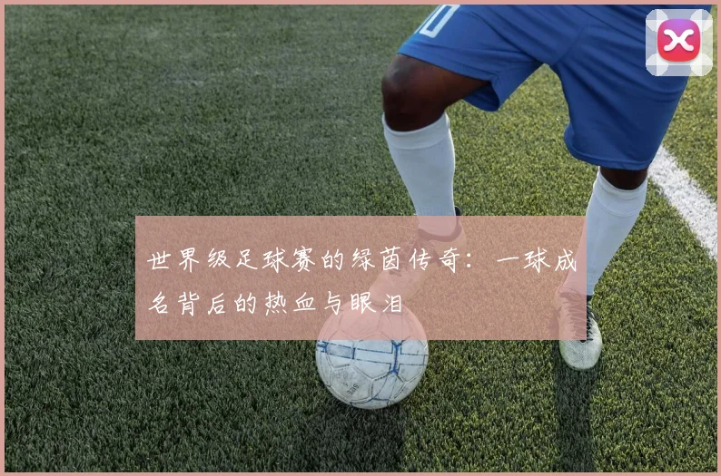 世界级足球赛的绿茵传奇：一球成名背后的热血与眼泪