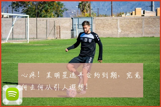 心疼!某明星选手合约到期,究竟何去何从引人遐想!