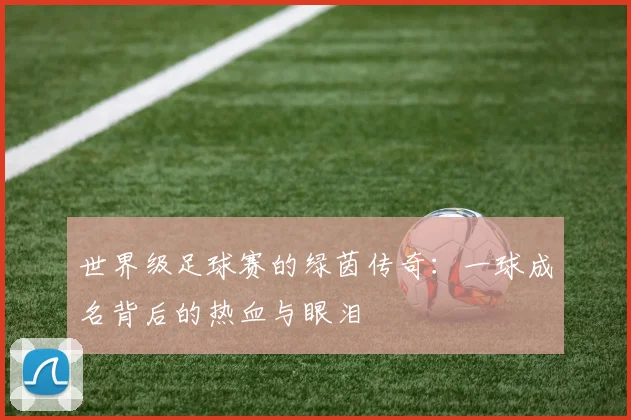 世界级足球赛的绿茵传奇:一球成名背后的热血与眼泪